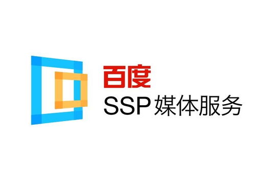 网站蜘蛛池怎么做的